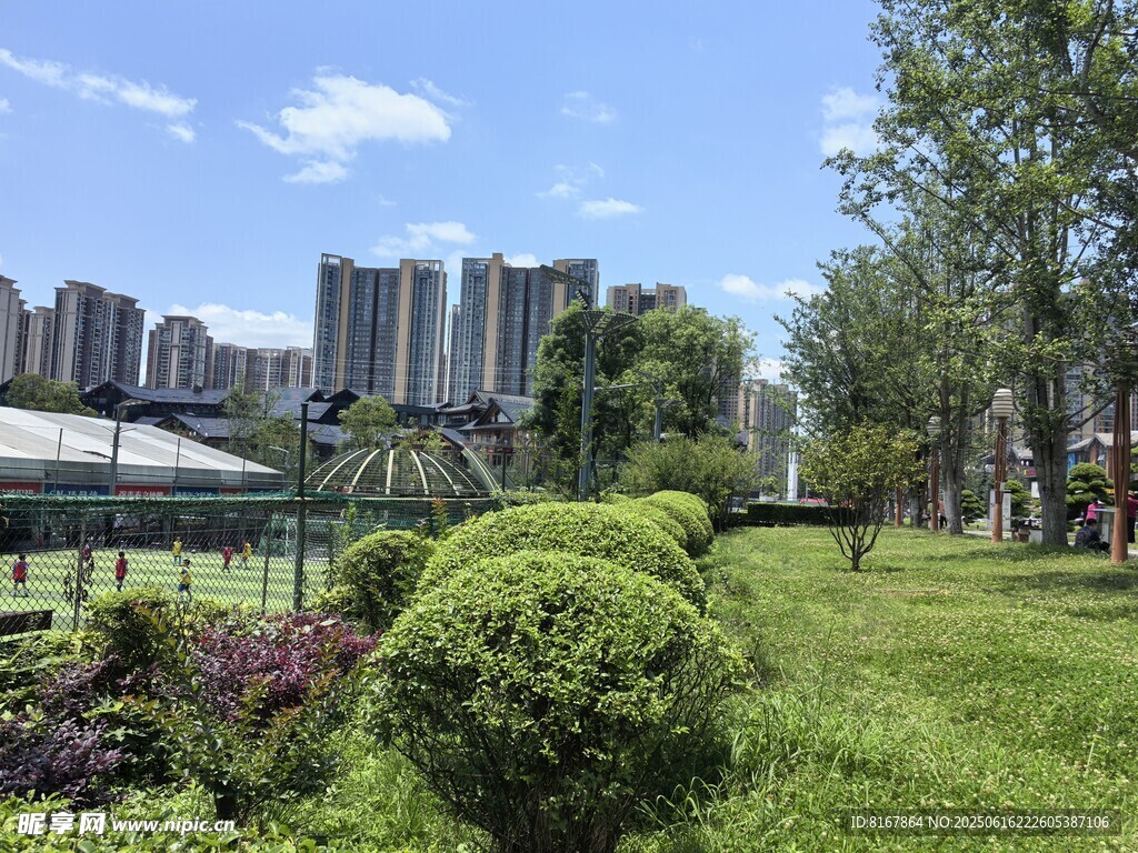 城市中的绿意盎然景观