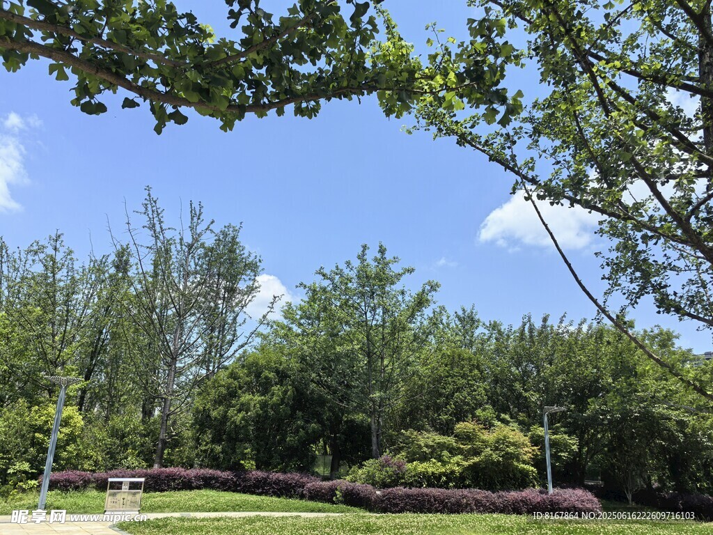 绿树蓝天的户外美景