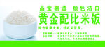 晶莹剔透的黄金配比米饭