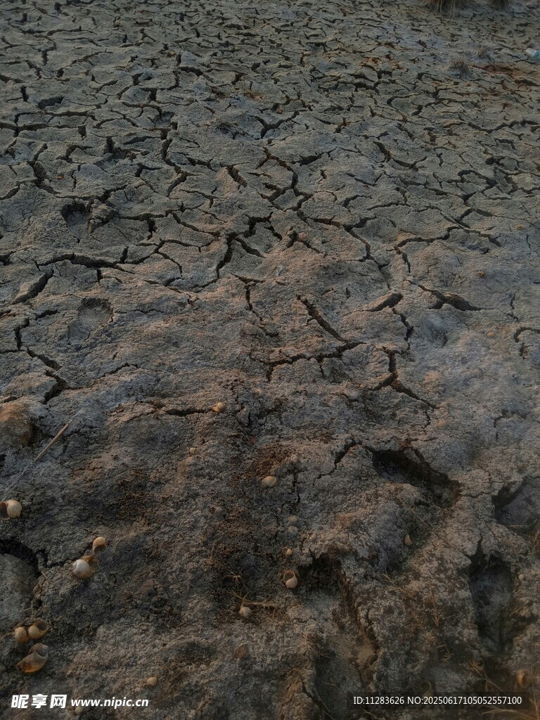 干裂的土地