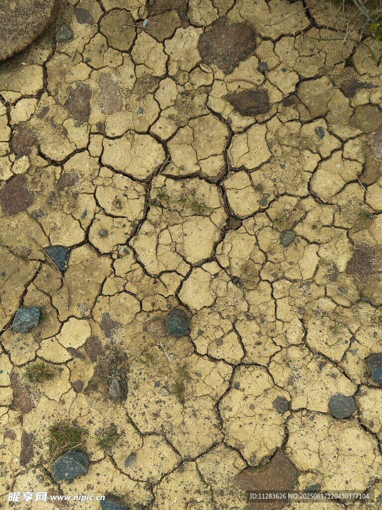 干裂土地纹理特写