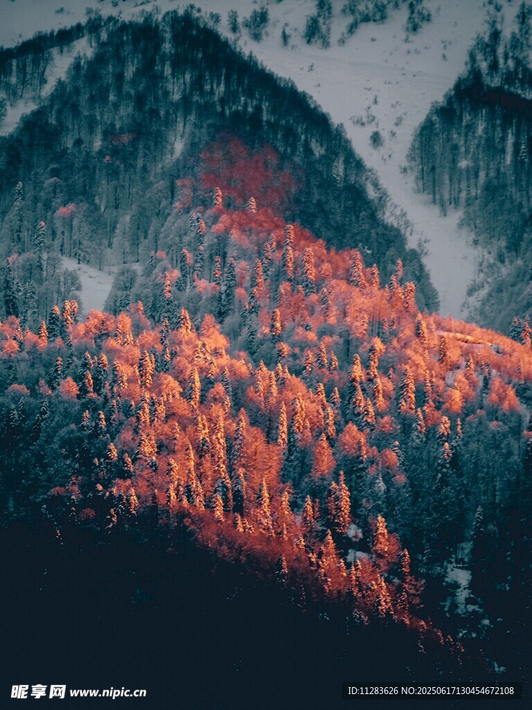秋日山林斑斓美景