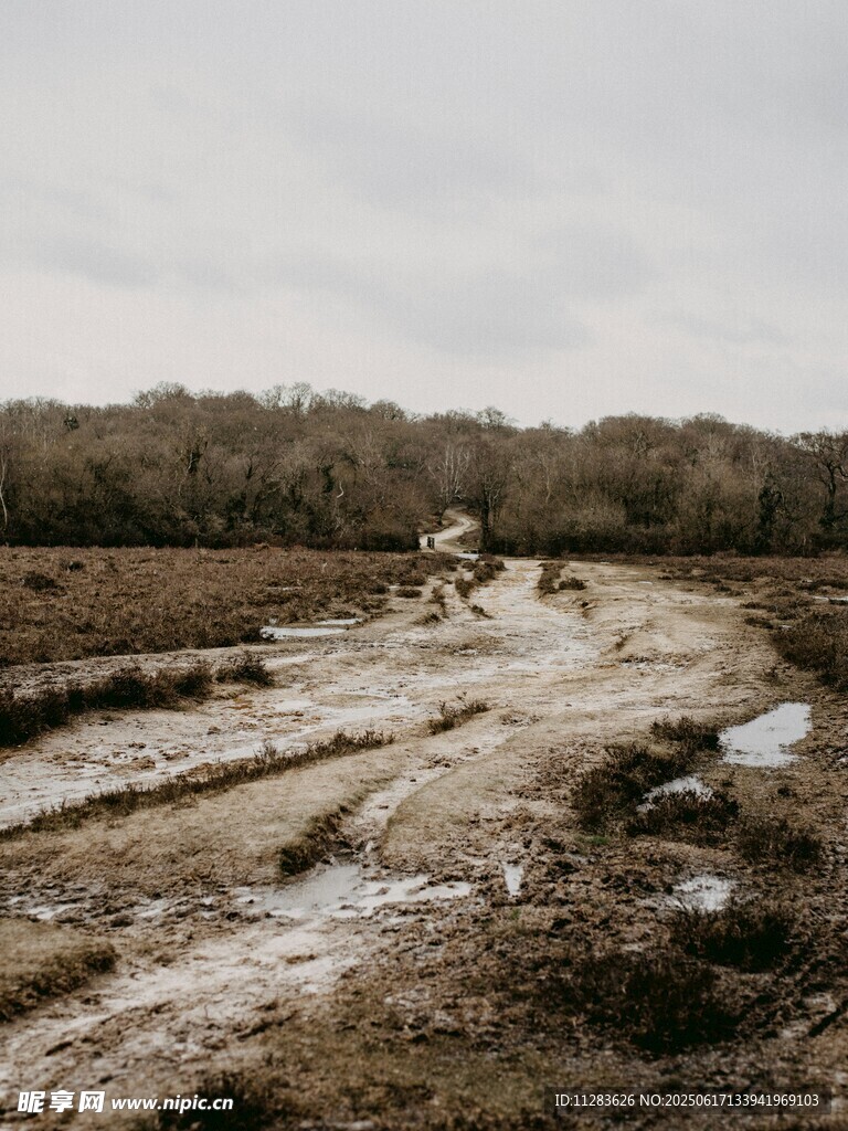 泥泞荒野中的崎岖小路