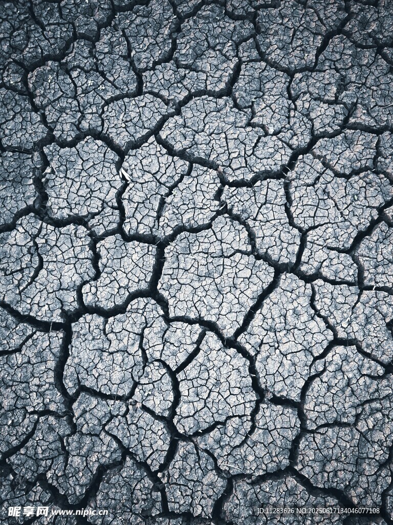干裂的大地纹理