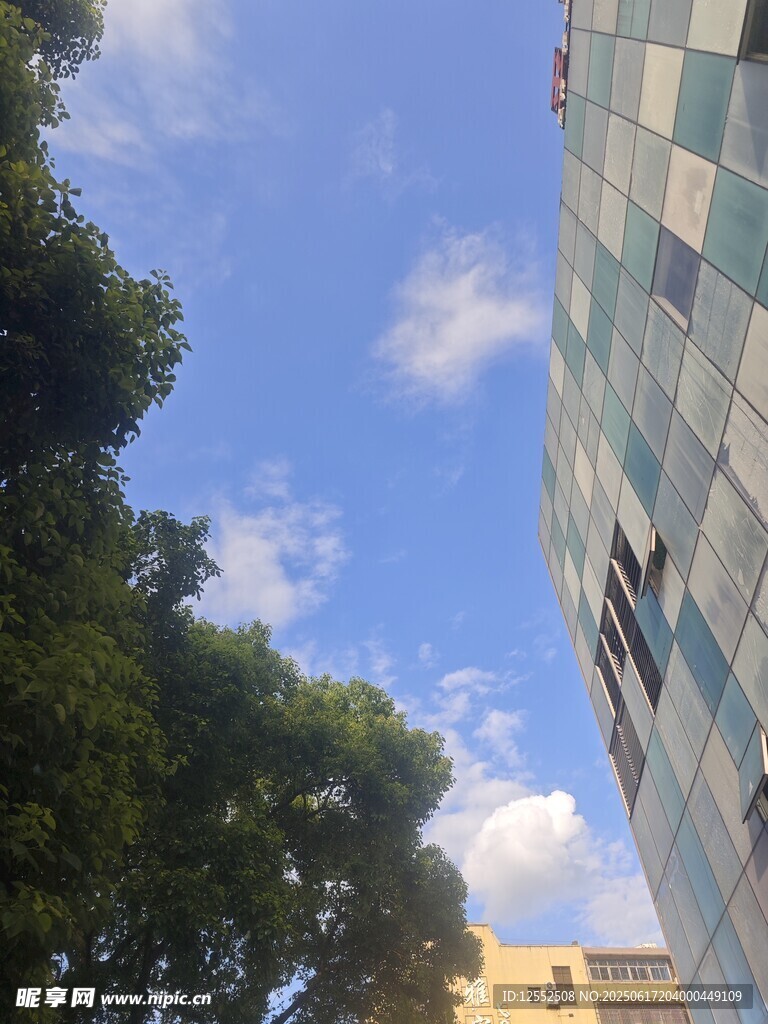 蓝天绿树旁的多彩建筑