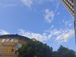 城市中蓝天绿树旁的建筑