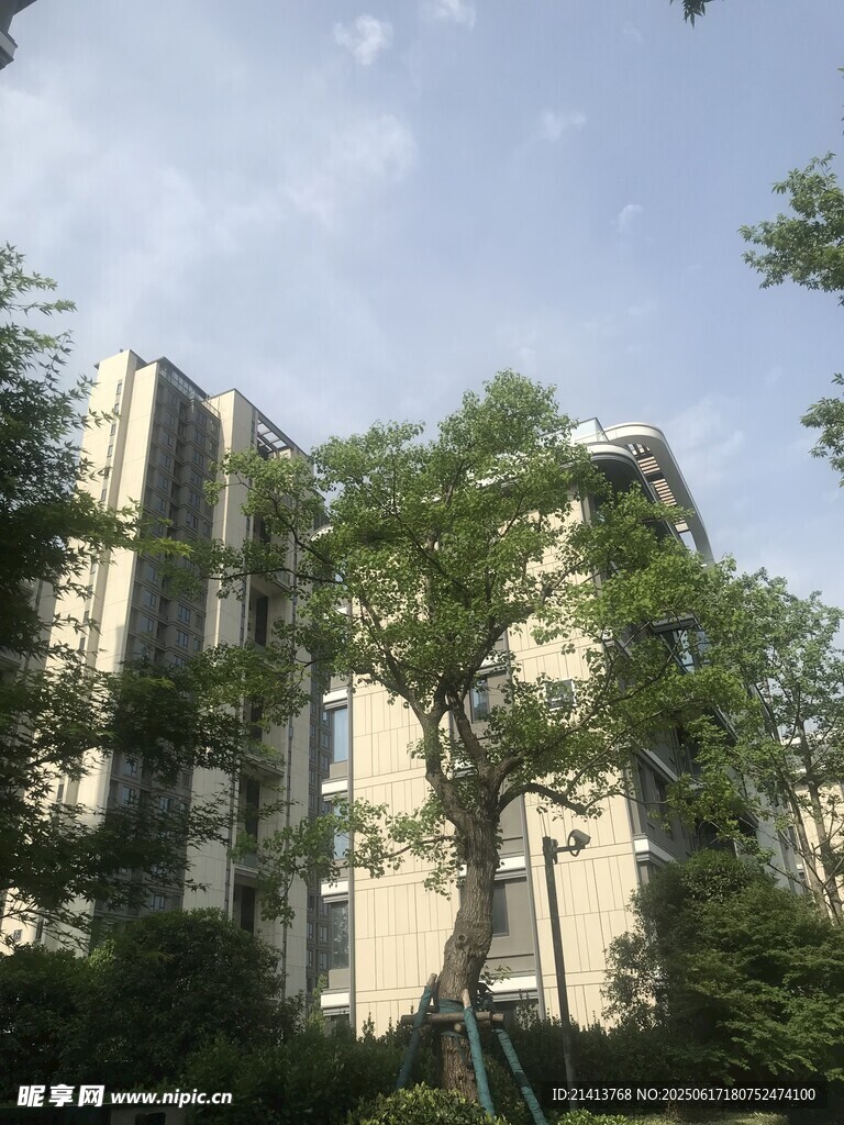 高层住宅