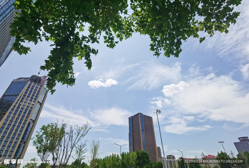 城市高楼与绿树蓝天景观