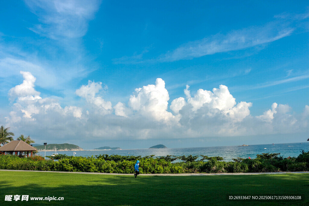 海滨草地美景
