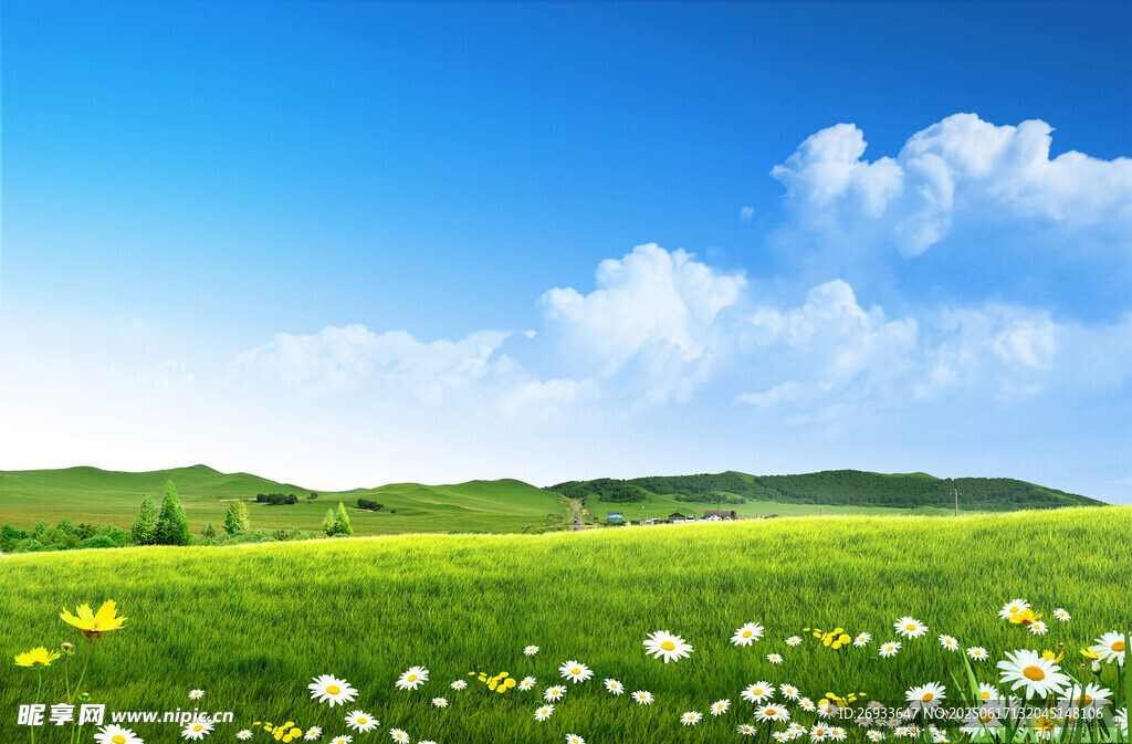 春日绿野繁花美景