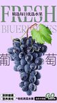 葡萄 