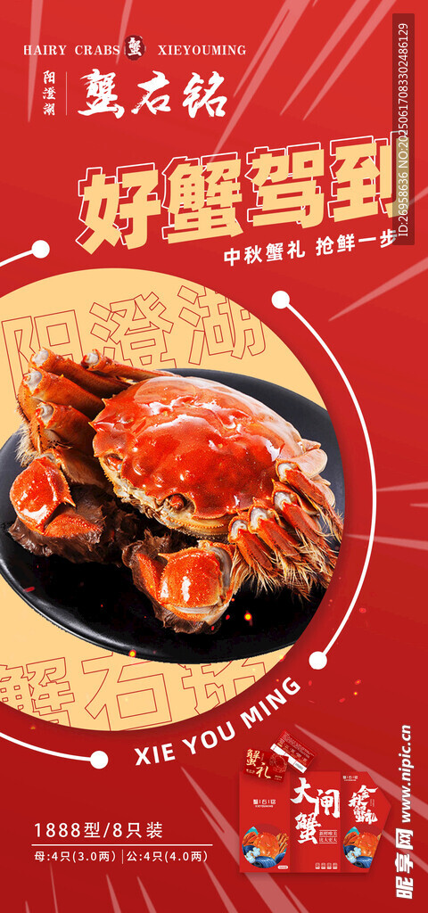 大闸蟹 