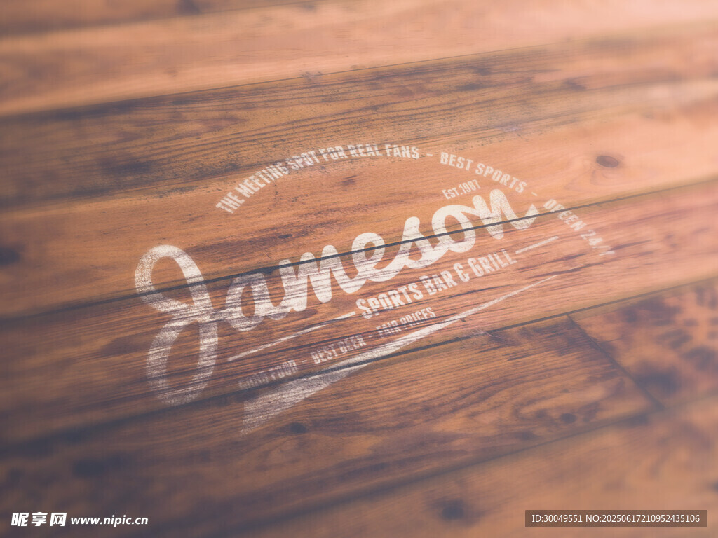 logo样机