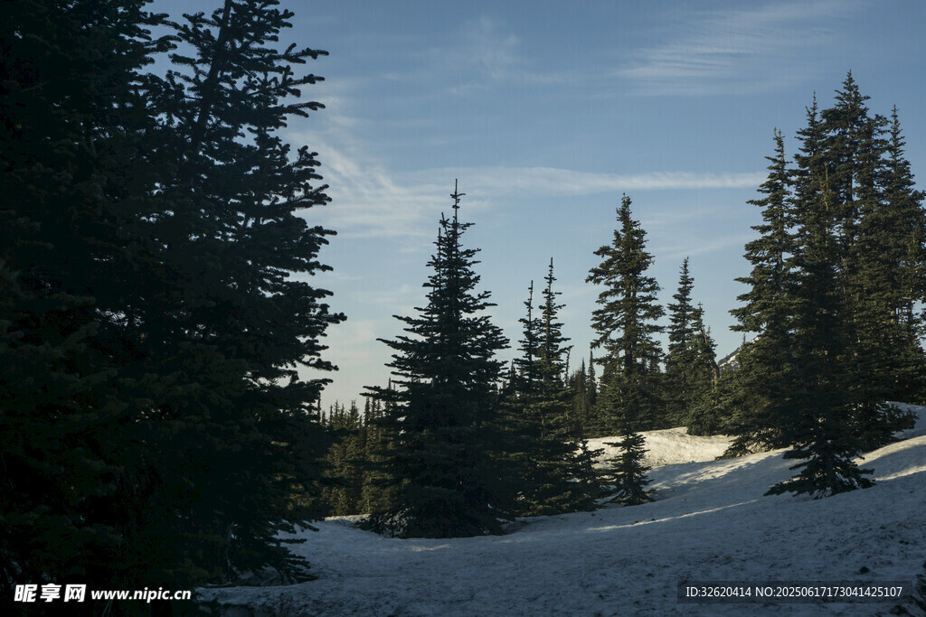 雪覆山林的冬日美景