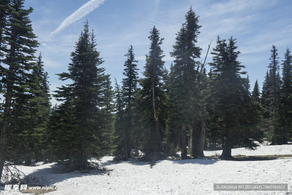 雪覆山林的冬日美景