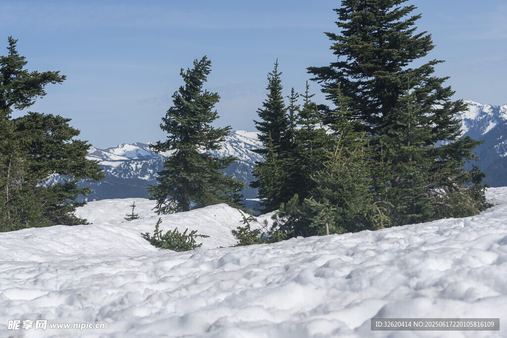 雪覆山林 远处山峦隐约