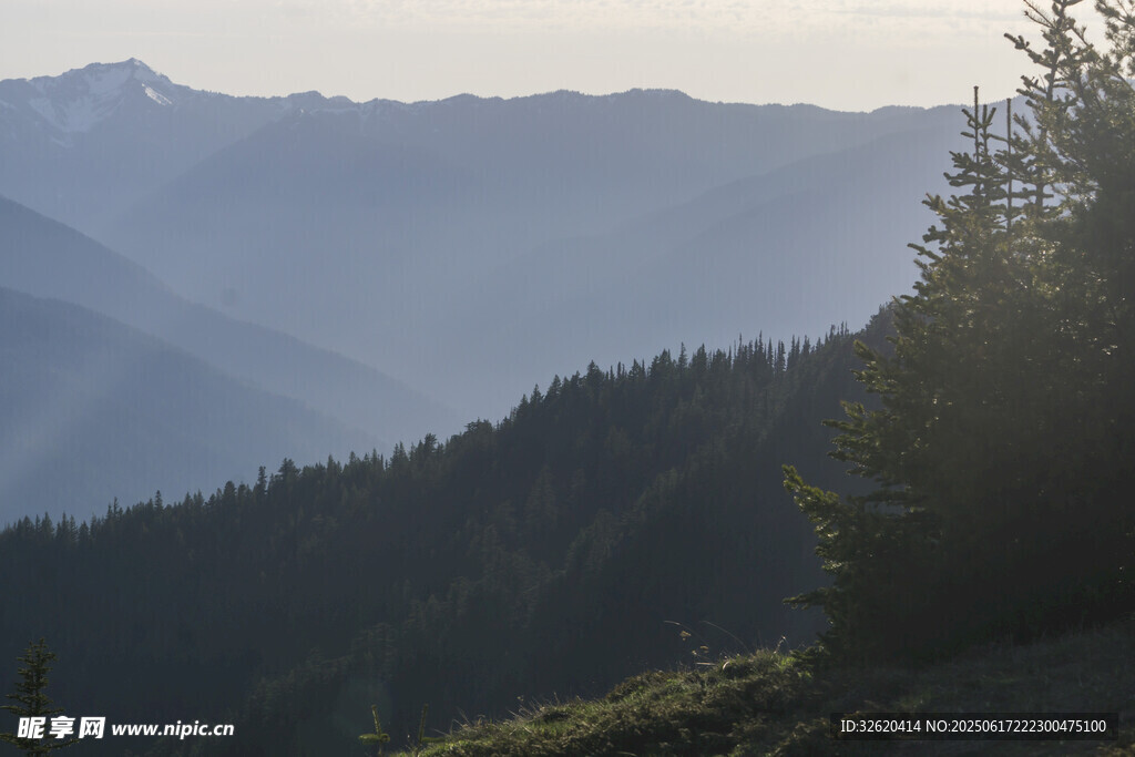 山间晨曦 林木与远山美景