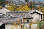 中式村落屋顶秋景