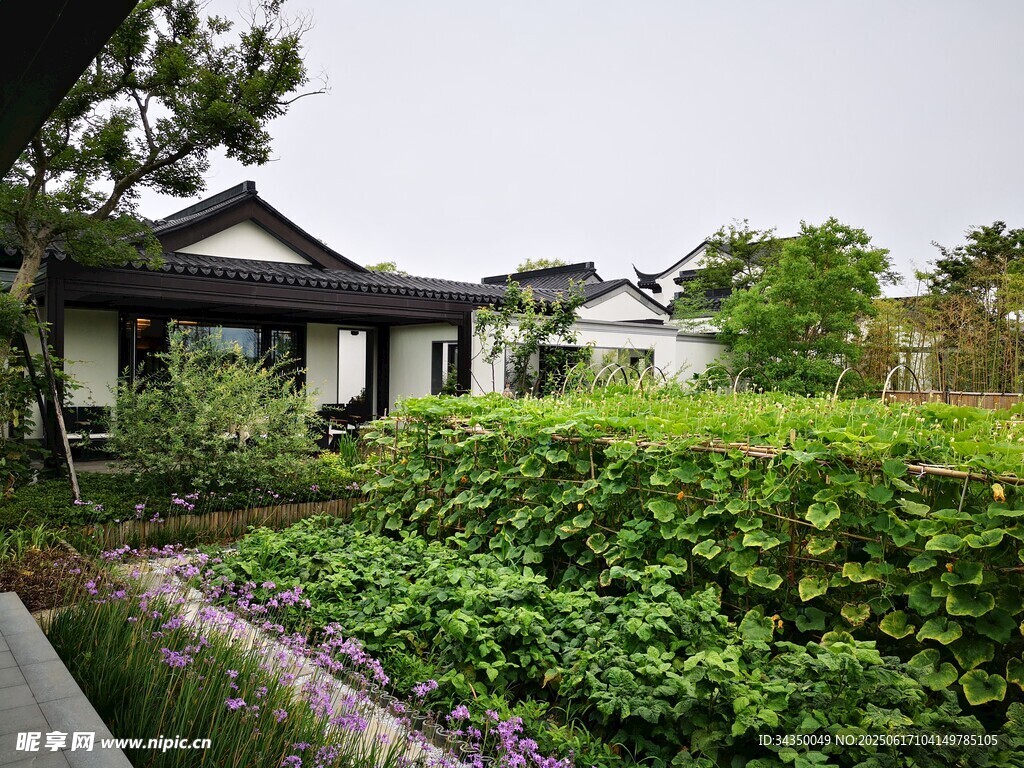 中式庭院绿植环绕景致美