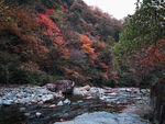 光雾山