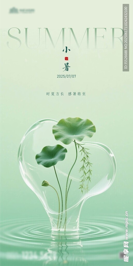 地产夏至小暑节气荷叶海报