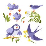 卡通鸟插图