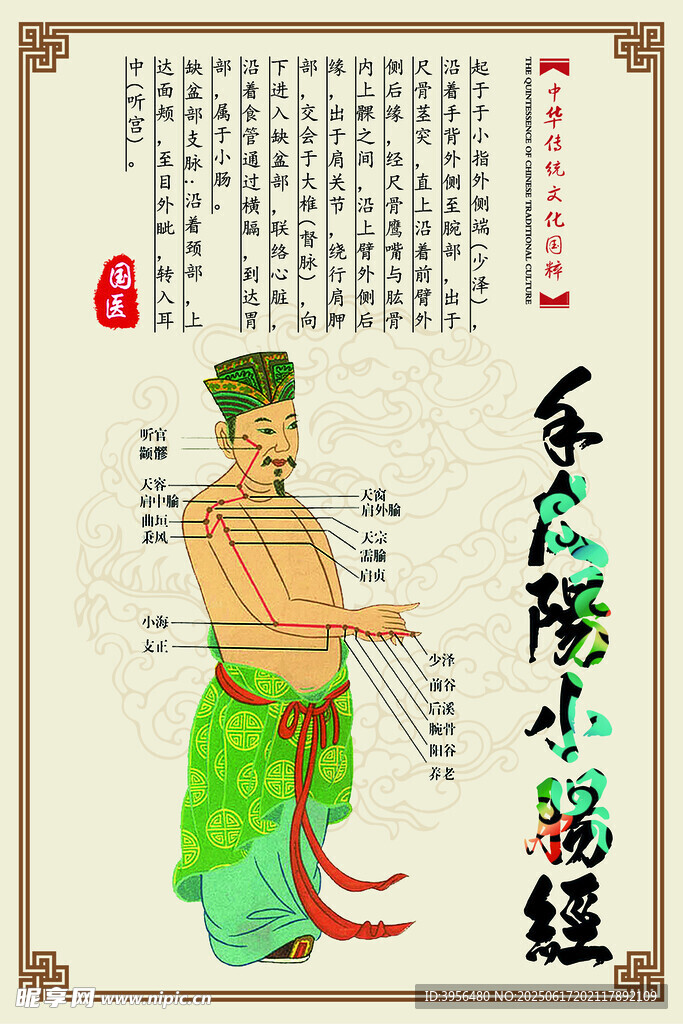 经络 穴位