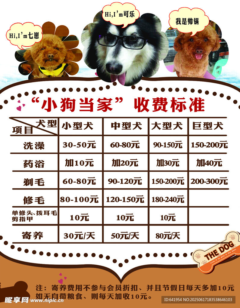 小狗当家收养标准表