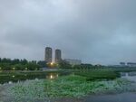 阴天景色