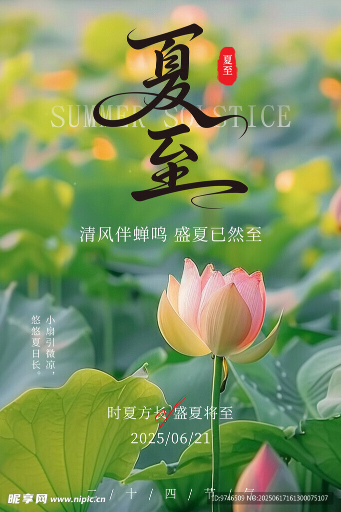 夏至海报