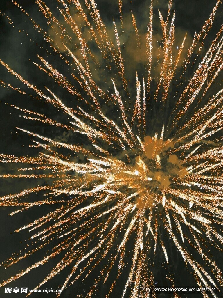 绚丽烟花绽放夜空