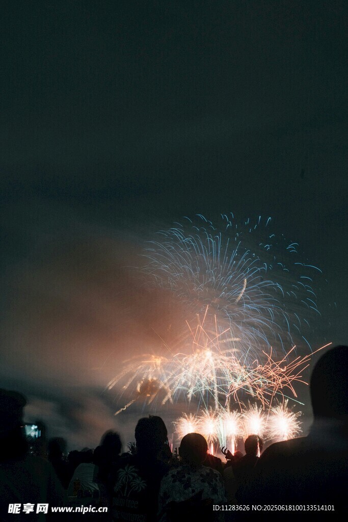 夜赏绚烂烟花的人群
