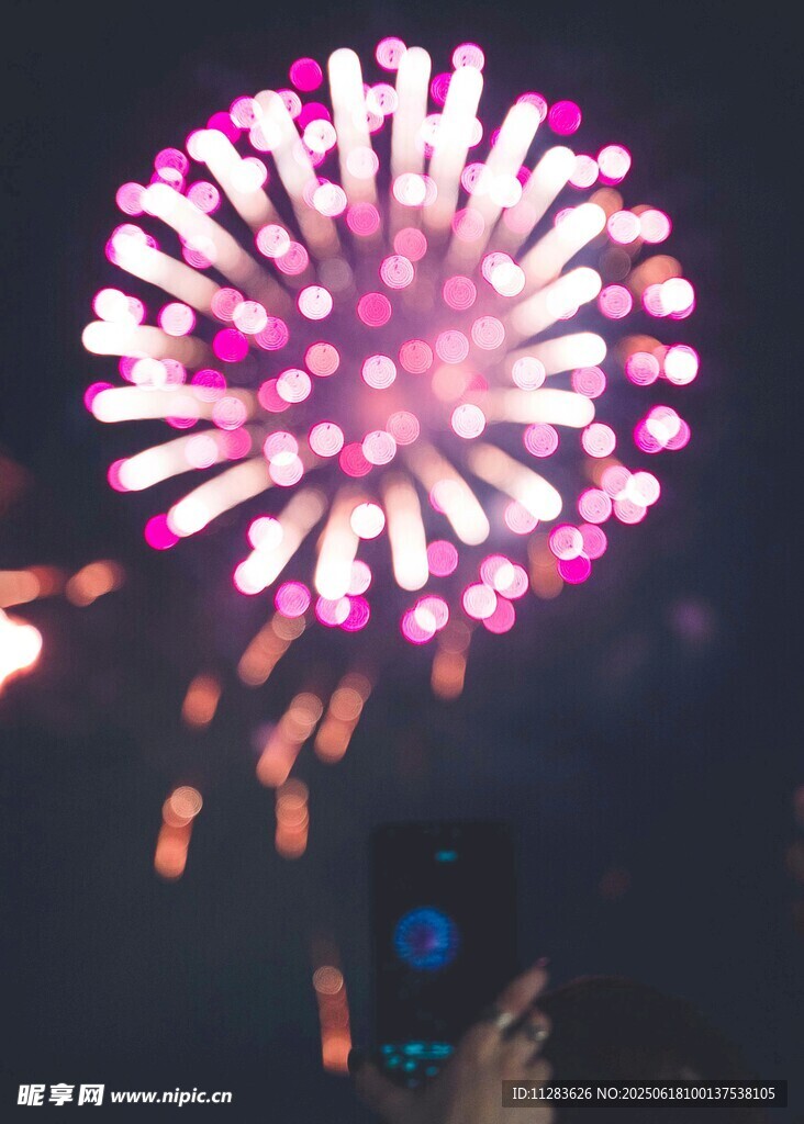 夜空中绽放的绚丽烟花