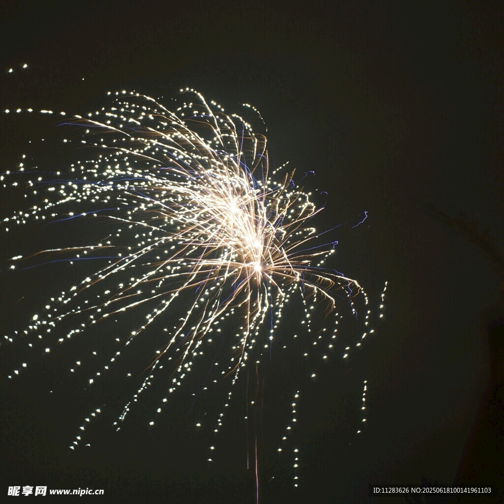 夜空中绚烂的烟花绽放