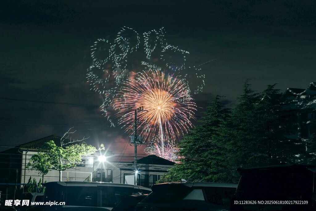 夜空中绚烂的烟花绽放