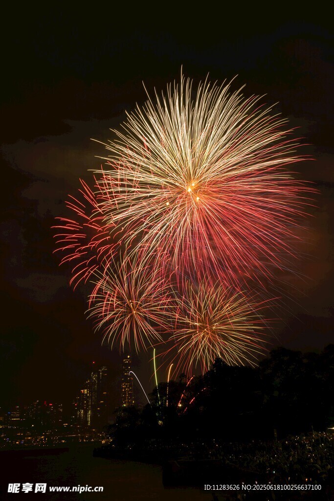 夜空中绚烂的烟花绽放