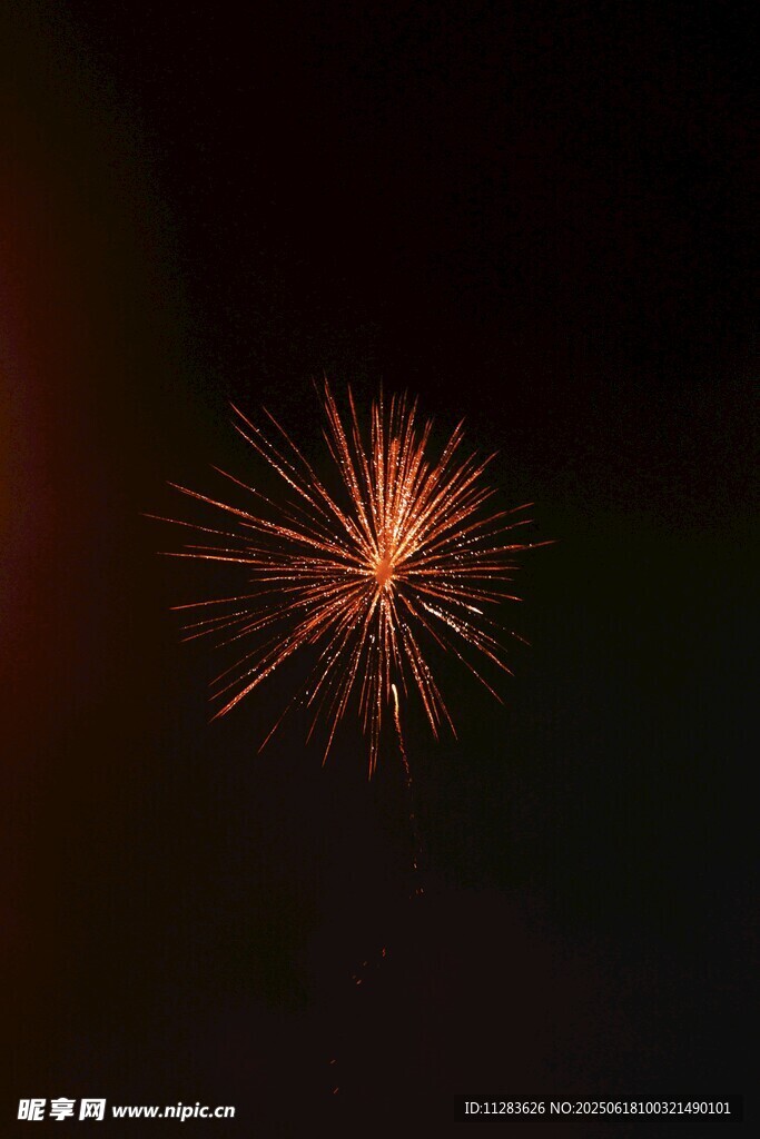 夜空中绽放的绚烂烟花