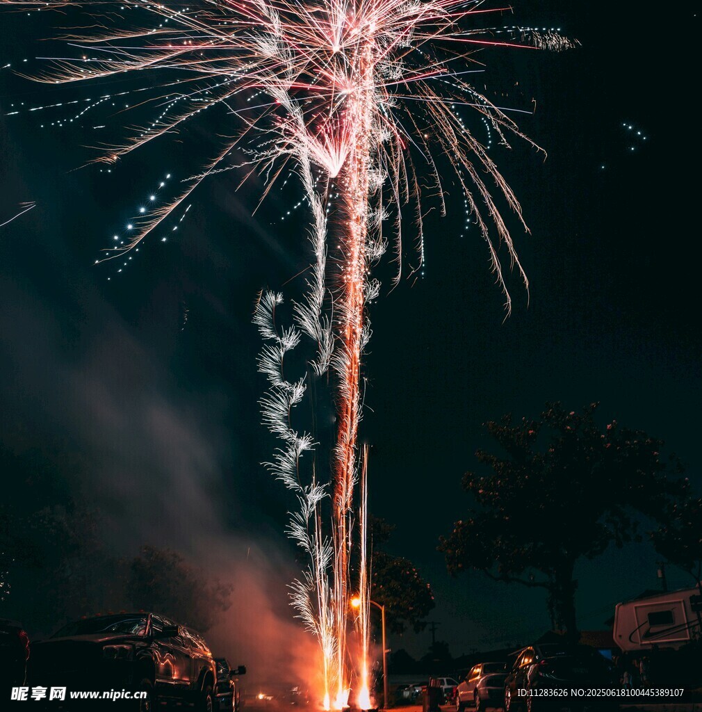 夜空中绚烂绽放的烟花