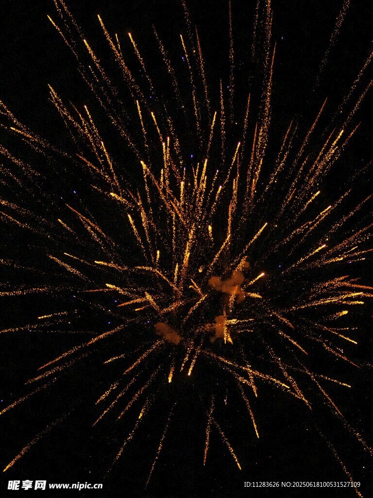 夜空中绚烂的烟花绽放