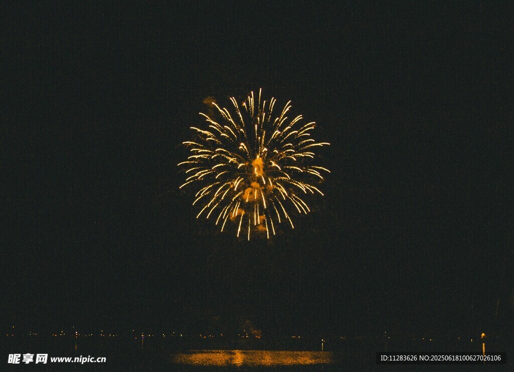 夜空中绽放的绚烂烟花