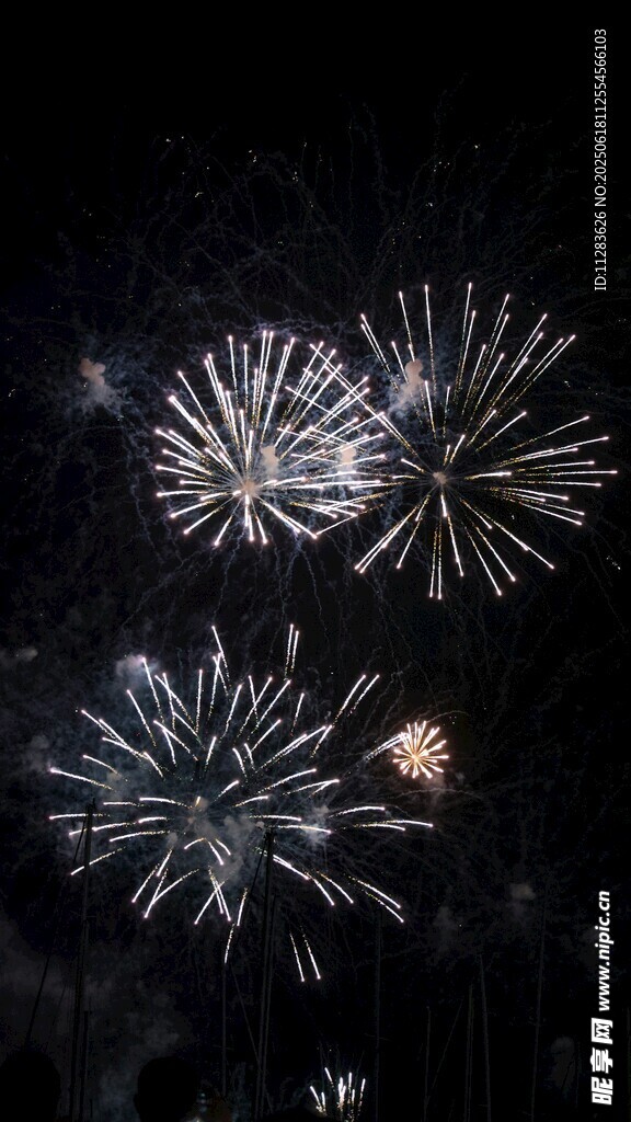 夜空中绚烂的烟花绽放