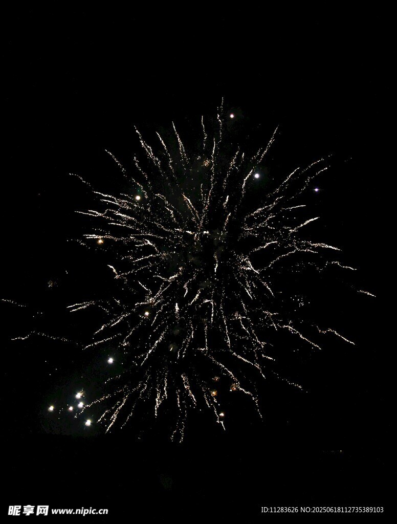 夜空中绚烂的烟花绽放