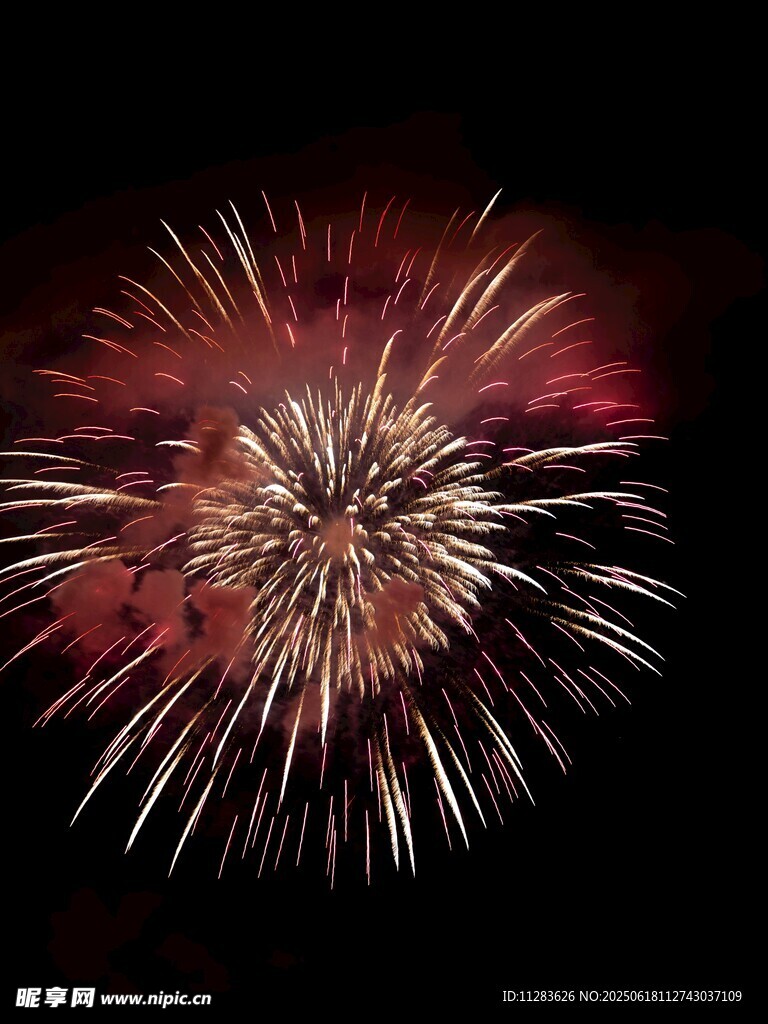 绚丽烟花绽放夜空