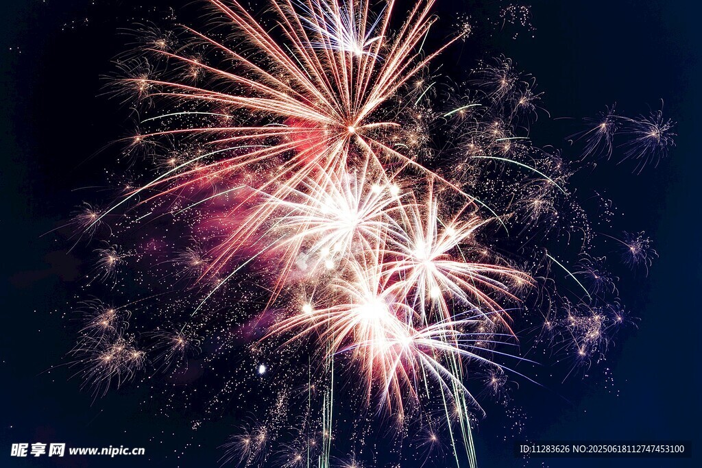 夜空中绚烂绽放的烟花