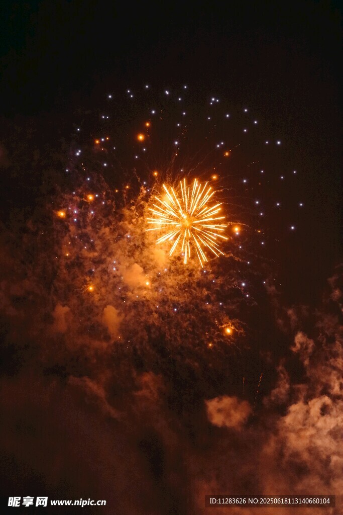 夜空中绚烂的烟花绽放
