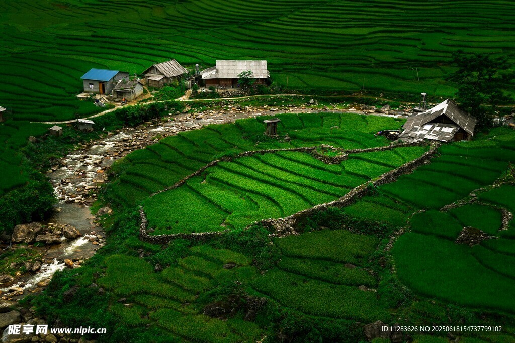 田园风光中的乡村美景