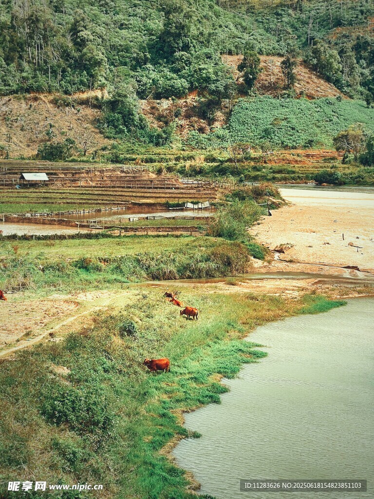 乡村河畔田园风光美景