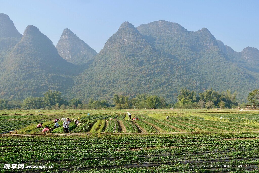 田园山峦美景