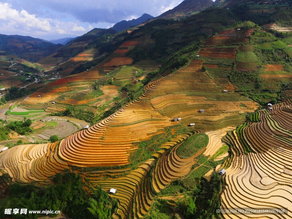 壮丽梯田景观