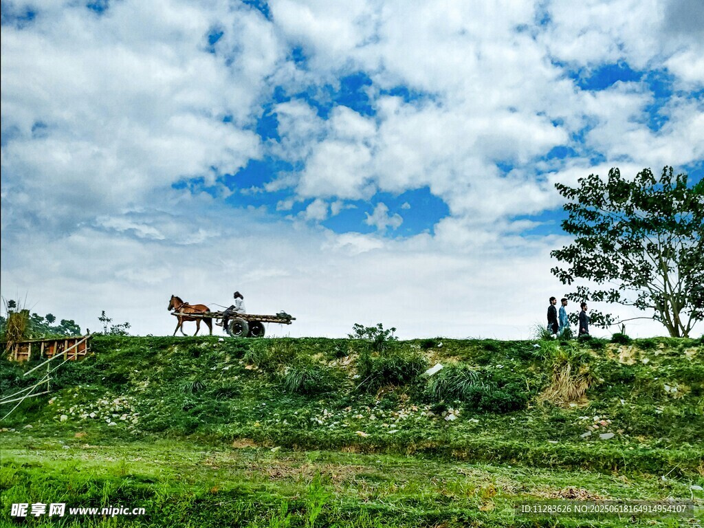 草原骏马蓝天白云美景